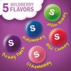Skittles Wild Berry Bulk Candy Individually Wrapped, Fun Size Packets (2 Pounds)