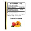 African Mango Extract 500mg – High Strength Natural Supplement - 1 Bottle 60 Cap
