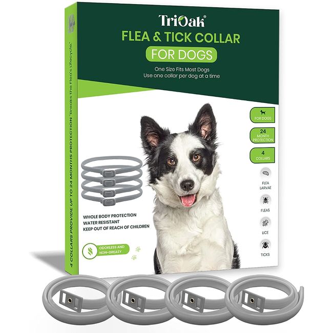 4 Pack Flea and Tick Collars for Dogs, 6 Months Protection Flea Collar for Dogs, 4 Count Flea and Tick Prevention for Dogs, Prevent Control and Treat Fleas and Ticks, One Size Fits All