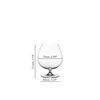 Riedel ヴィノム ブランデー 6416/18