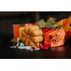 Viori Pumpkin Spice Shampoo & Conditioner Bar Set limited edition