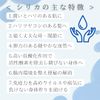 Ayus SILICA High Concentration Silica Solution 100