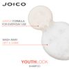 Joico YouthLock Shampoo Formulated With Collagen | Youthful Body & Bounce | Reduce Breakage & Frizz | Soften & Detangle Hair | Boost Shine | Sulfate Free | With Arginine | 33.8 Fl Oz