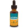 Herb Pharm Elecampane, Respiratory System Support - 1 Fluid Ounce