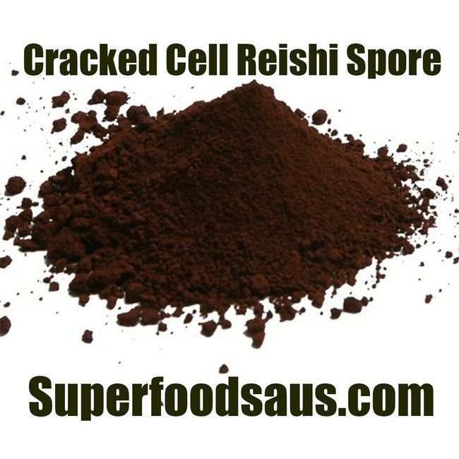 Reishi Mushroom Spore Powder 250g  Organic Cracked Cell Wall Semi-Wild Changbai