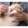 Super Cat Easy Ear Cleaning Sheet, Pack of 30