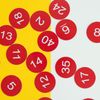 Plastic Numbered Discs Number Tags Engraved Numbered Tags Without Hole Round (0-50, Red)