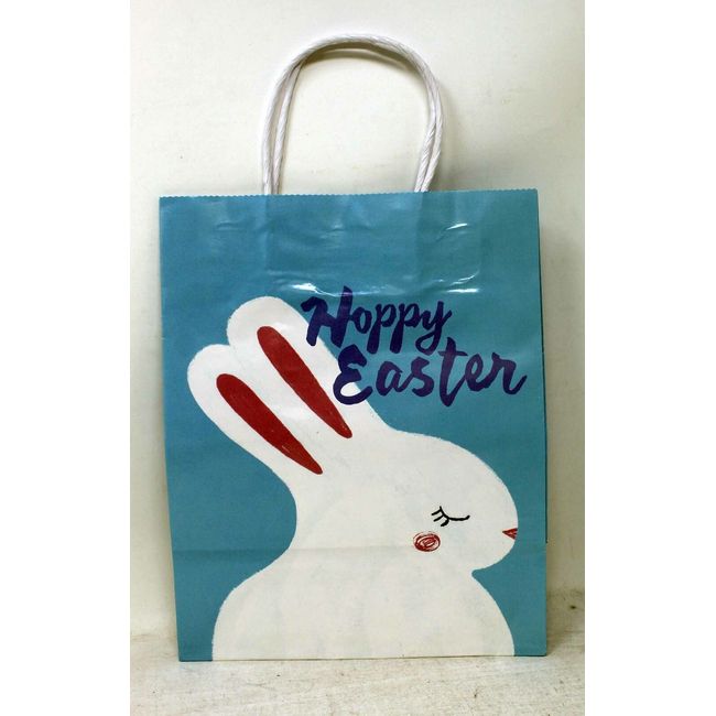 American Greetings Happy Easter Bunny Gift Bag 8x5x10 Inch