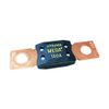 Littelfuse 0298100 Bolt Down Auto Fuse 100A Time Delay 32V 298 Series, MEGA