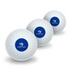 GRAPHICS & MORE Eastern Illinois University Panthers Logo Novelty Golf Balls 3 Pack