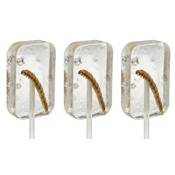 Hotlix Tequila Worm Sucker Pack of 3 Insect Candy