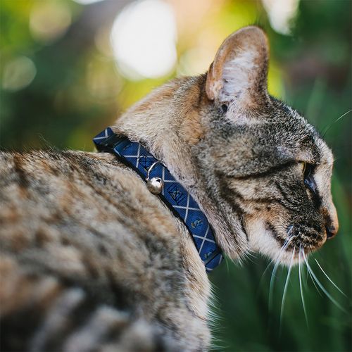 Buckle-Down Cat Collar Breakaway with Bell Harry Potter Ravenclaw Crest Plaid Blues Gray 8.5 to 12 Inches 0.5 Inch Wide
