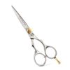 Professional Hair Scissors, Hairdressing Scissors, Barber Scissors - 6 inch
