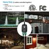 DEWENWILS Wireless Remote Control Outlet Switch Plug in Christmas  Switch