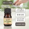 Beauty Essential Oil Mini Lemon