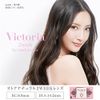 ヴィクトリア　2ウィーク　1箱6枚入 【カラー】セピア　【度数】-4.50