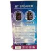 BT Bluetooth Speaker (BT-2084)