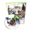 Assassin's Creed Revelations Special Edition