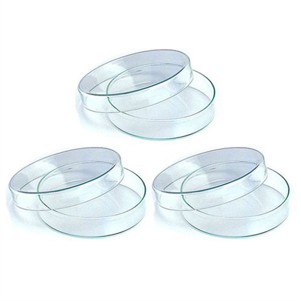 Set of 3 Plastic Petri Dish