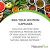 Nature's Plus - Egg Yolk Lecithin 600 mg, 180 Vegetarian Capsules