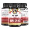 Ancient Bliss Berberine HCL 1200mg with Ceylon Cinnamon, Bitter Melon, and Green Tea Extract - 120 Capsules