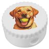 'Golden Labrador with Ball' Compact Pencil Sharpener (PS00045573)