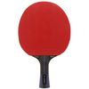 Vapour Trail R4 Table Tennis Bat