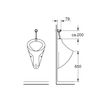 GROHE Dal Skate Df Wallplate Perg
