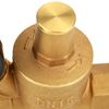 DN15 Pressure Regulator Brass Adjustable Water Pressure Regulator Reducer with Gauge