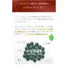 Spirulina Garlic: 1,500 tablets x 200 mg (about 37 days)
