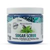 Spa Redi Sugar Body Scrub Mint & Eucalyptus 16 oz