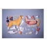 4D Vision Orange Tabby Cat Skeleton & Anatomy Model Kit