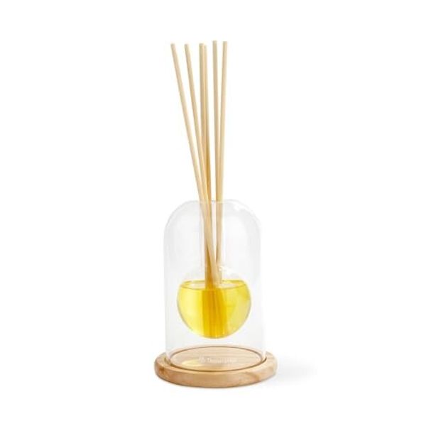 Kishima Thaleia Veil Flower Vase Reed Diffuser Orange Approx. [phi] 10.5 H28 KNT88203