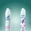 Degree Antiperspirant Deodorant Dry Spray Sheer Powder Deodorant for Women 3.8 oz