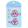 Panchusagi Acrylic Hair Clips (2)