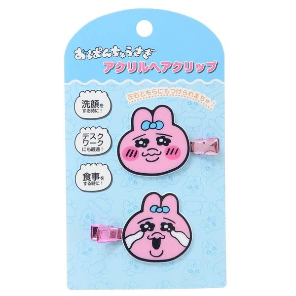 Panchusagi Acrylic Hair Clips (2)