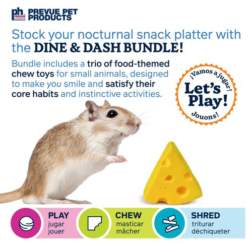 Prevue Pet Products Dine & Dash Small Animal Toy Bundle