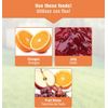 Nature's Way OFM1 Wire Oriole Feeder