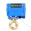 U.S. Solid 1/2" Motorized Ball Valve Brass Electrical Ball Valve DN15 with Full Port, 9-24V AC/DC, 2 Wire Auto Return Setup