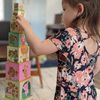 , Stacked Cubes, Animal ha5879