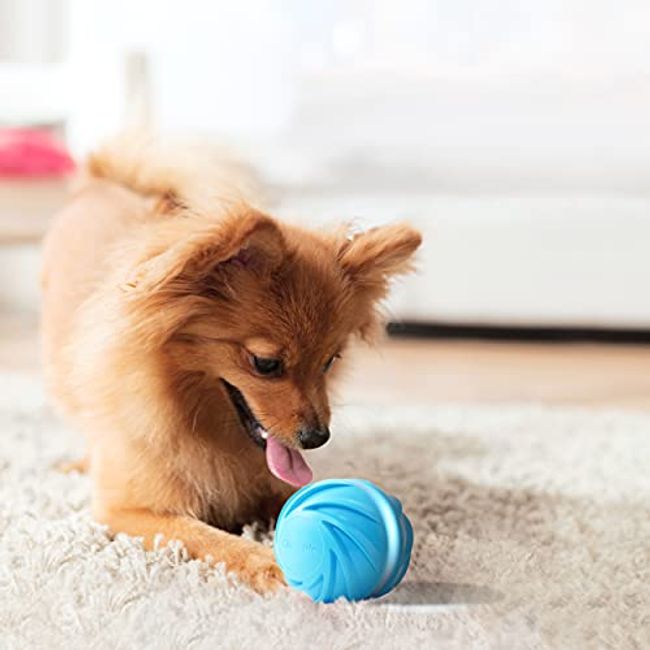 Rechargeable Interactive Ball Dogs