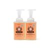 Moon Valley Herbal Foaming Hand Soap, Grapefruit Thyme 2 Pack, Vegan, Recyclable Bottle
