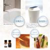 Water Soluble Aroma Oil 10ml Coconut Aroma Diffuser Aroma Essence
