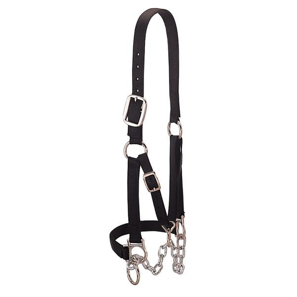 Weaver Leather Heavy-Duty Restraint Halter, Large, Black