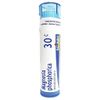 Magnesia Phosphorica 30C Homeopathic Medicine for Spasmodic Abdomen Pain (80 Pellets)
