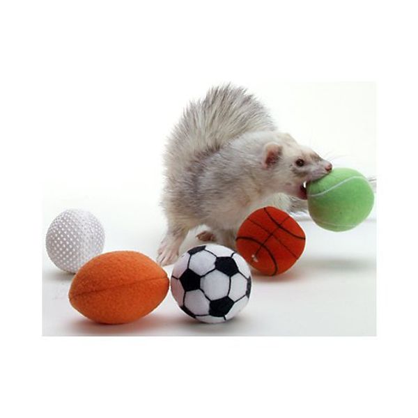 Marshall Ferret Sport Balls ( pack of 2 assorted )