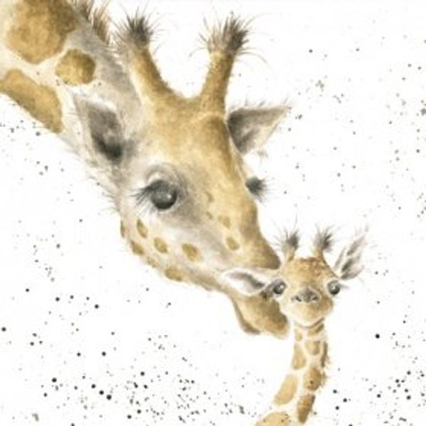 Wrendale Designs - 'First Kiss' Card