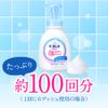 ビオレu 泡で出てくるボディウォッシュ ポンプ シトラス 600ml