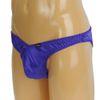 Men's Shiny Stretch Full Seam Full Back Blue