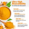 2 Pack Turmeric Curcumin High Absorption 95% 3000MG with Vitamin C 30 Pockets